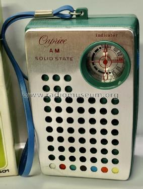 Caprice AM Solid State FE501; Unknown - CUSTOM (ID = 2579837) Radio