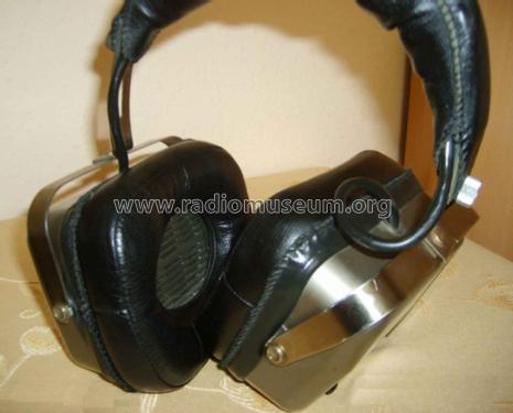 Daiton Radio Headphones SKH-800; Unknown - CUSTOM (ID = 1213968) Radio