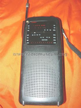 DE-379-A; Unknown - CUSTOM (ID = 1814376) Radio