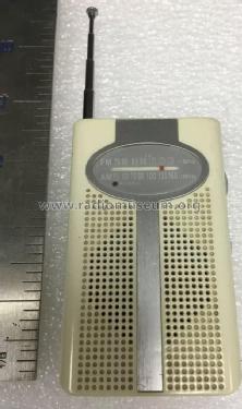 FM AM Portable ; Unknown - CUSTOM (ID = 2444109) Radio