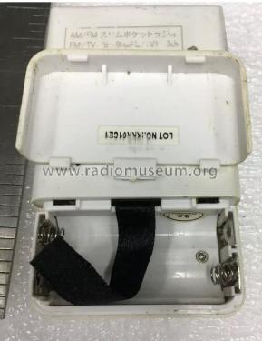 FM AM Portable ; Unknown - CUSTOM (ID = 2444112) Radio