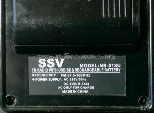 SSV - FM Radio with USB / SD NS-018U; Unknown - CUSTOM (ID = 2266939) Radio