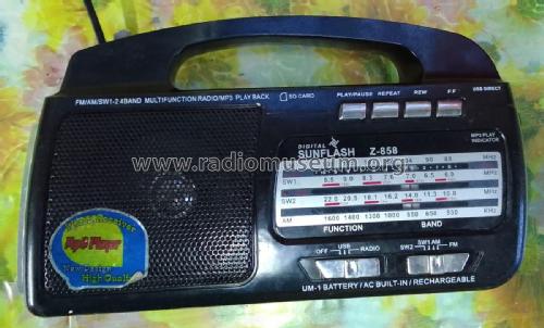 4-Band radio & MP3 player Z-858; Digital SUNFLASH (ID = 2869430) Radio