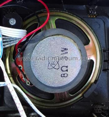 4-Band radio & MP3 player Z-858; Digital SUNFLASH (ID = 2869432) Radio