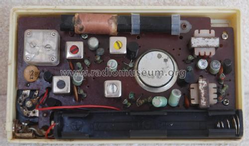 Hi-Tone Hi-Fi Deluxe 8 Transistor ; Unknown - CUSTOM (ID = 2623123) Radio