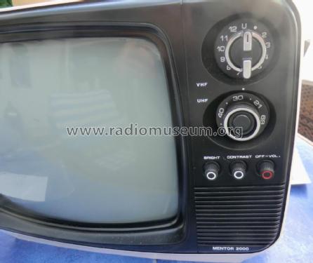 Mentor 2000; Unknown - CUSTOM (ID = 1844642) Television