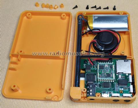 Mini DAB Walk Radio DAB-P9; Unknown - CUSTOM (ID = 2808263) Radio