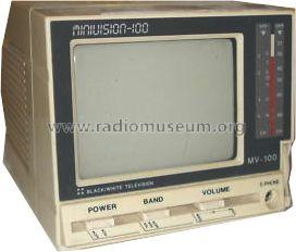 Minivision 100 MV-100; Unknown - CUSTOM (ID = 753341) Télévision