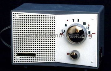 Repco DS-85; Unknown - CUSTOM (ID = 1076374) Radio