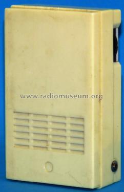 Riviera MK II TR-10; Unknown - CUSTOM (ID = 691691) Radio