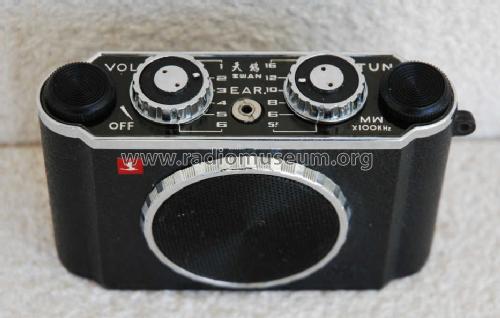 Swan 601A; Unknown - CUSTOM (ID = 1210596) Radio