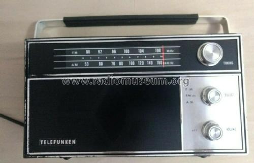 AM/FM Portable Radio 10F-2060 ; Telefunken (ID = 2408110) Radio