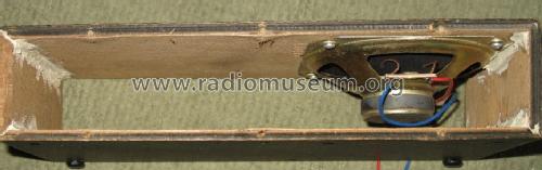 Twin FM-AM Receiver NR-100; Unknown - CUSTOM (ID = 818675) Radio