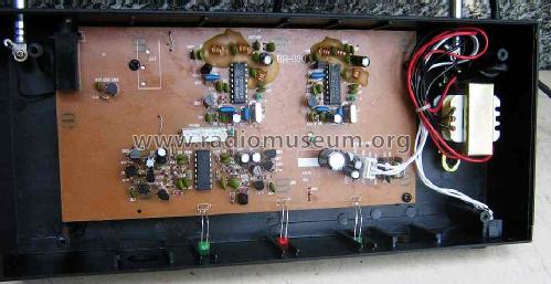 Two Channels Wireless Microphone DM-306; Unknown - CUSTOM (ID = 667622) Mikrofon/TA