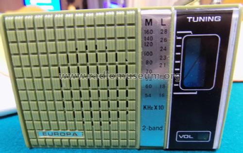 Europa 2-band M133; Unknown - CUSTOM (ID = 2143969) Radio