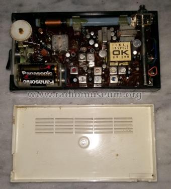 Roxy FM AM 10 Transistor UR-300; Usui Denki Co., Ltd. (ID = 2431584) Radio