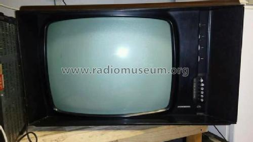 TVC-1; Vega, BP Radio, (ID = 2640953) Television