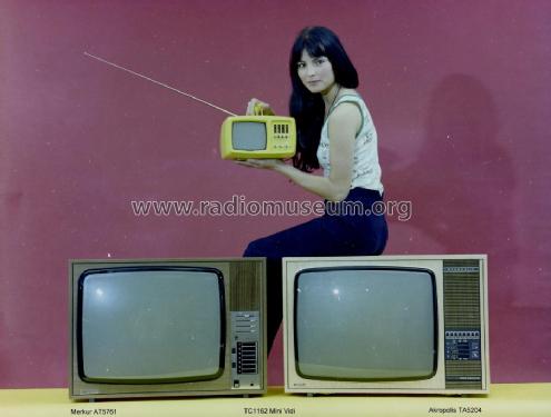 Athene de Luxe TA 5204; Videoton; (ID = 2688100) Television