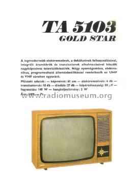 Gold Star TA-5103; Videoton; (ID = 1485199) Télévision
