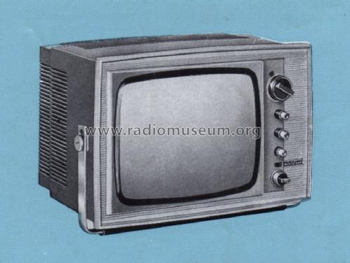 Minivisor TA-675; Videoton; (ID = 1092479) Television