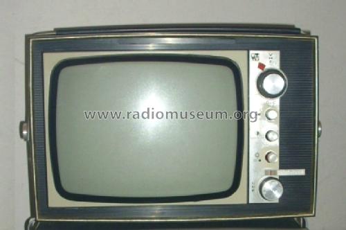 Minivizor TT-695OCU; Videoton; (ID = 1185236) Televisión