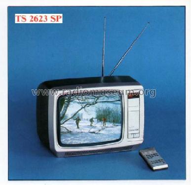 Portable Color Television TS-2623SP; Videoton; (ID = 693074) Television