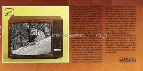 Super Star 24 TA-5306; Videoton; (ID = 1086124) Television