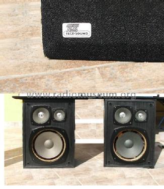 Tele-Sound HiFi Box DC 2016A; Videoton; (ID = 1194825) Speaker-P