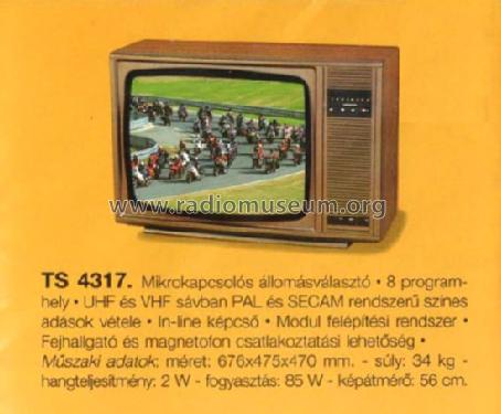 TS 4317; Videoton; (ID = 597898) Televisore