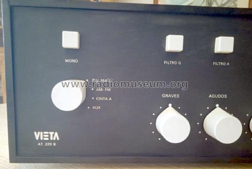 AT-229; Vieta Audio (ID = 2661894) Ampl/Mixer