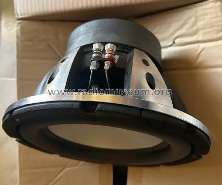 Subwoofer 10' Platinum Series PT-101VDC; Vieta Audio (ID = 3190120) Parlante