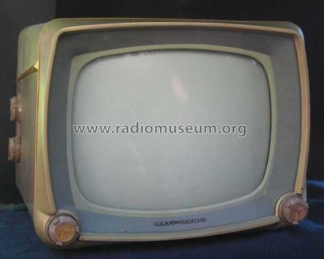 Totalvision 17' Serie Steelcab ; Watt Radio; Torino (ID = 1511310) Television