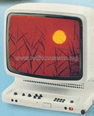 Color 3030; Wega, (ID = 1757991) Televisión