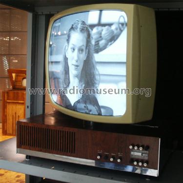 Wegavision 3000L; Wega, (ID = 1030138) Television