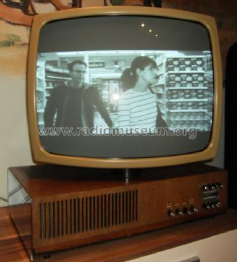 Wegavision 3000L; Wega, (ID = 1521969) Télévision