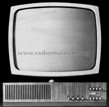 Wegavision 3000L; Wega, (ID = 2455311) Television