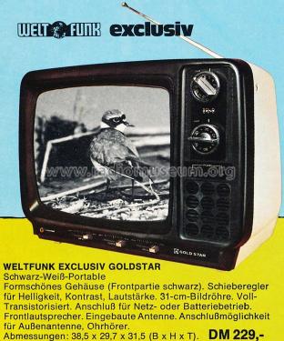 Exclusiv Goldstar ; Weltfunk GmbH & Co. (ID = 1249773) Fernseh-E