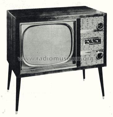 2D1713A ; Western Auto Supply (ID = 1820629) Televisore