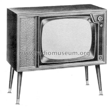 Truetone 2D1836A ; Western Auto Supply (ID = 835927) Television
