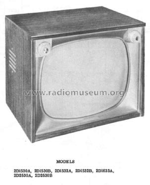 Truetone 2D2530B ; Western Auto Supply (ID = 2371124) Television