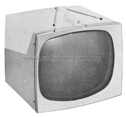2D3821A Truetone ; Western Auto Supply (ID = 845543) Television