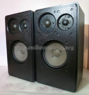 A12; Wigo acustic, G. (ID = 2340189) Speaker-P