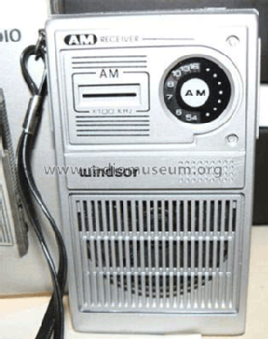 AM Receiver WIN-300; Windsor Industries, (ID = 614754) Radio