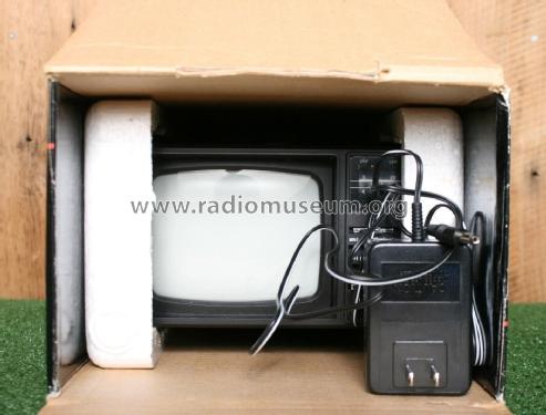 TV Receiver with AM / FM Radio VR88; Windsor Industries, (ID = 2828135) TV Radio