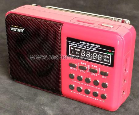 WS-229; Wster brand, Putian (ID = 2570128) Radio