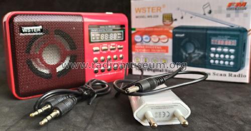 WS-229; Wster brand, Putian (ID = 2570132) Radio