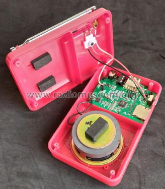 WS-229; Wster brand, Putian (ID = 2570133) Radio