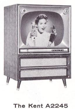 A2245 Ch= 17A30; Zenith Radio Corp.; (ID = 1737804) Televisore