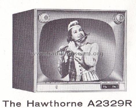 A2329J Ch= 19A20; Zenith Radio Corp.; (ID = 2469440) Televisore
