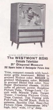 B2245E Ch= 17B20; Zenith Radio Corp.; (ID = 1938838) Televisión
